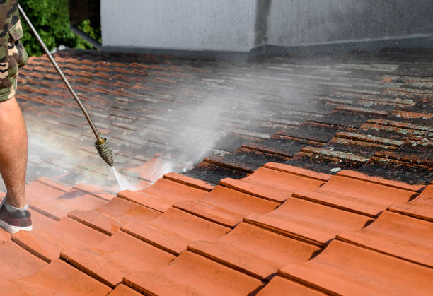 Best Local Pressure Washing Services  in Howard City, MI