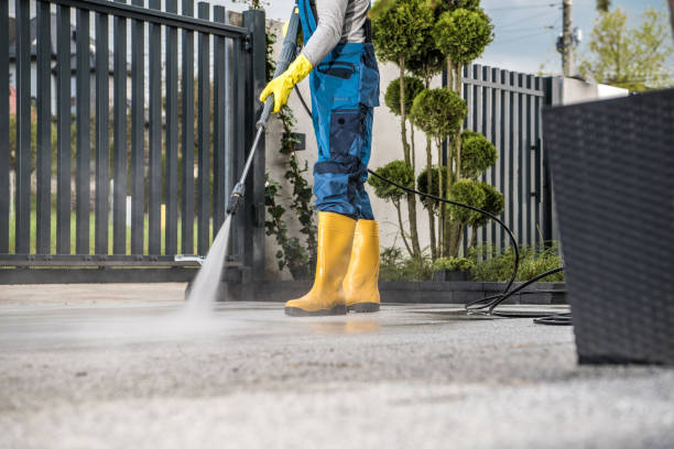 Best Pressure Washing Company Near Me  in Howard City, MI