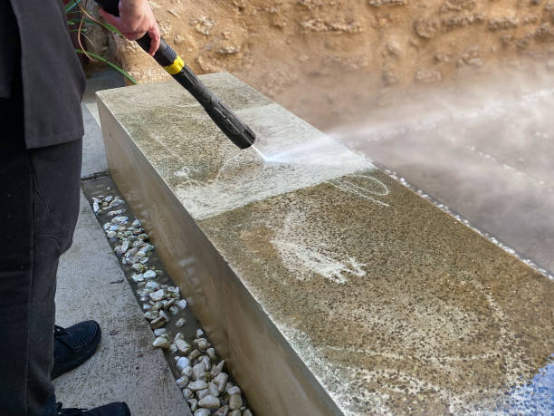 Best Best Pressure Washing Companies  in Howard City, MI