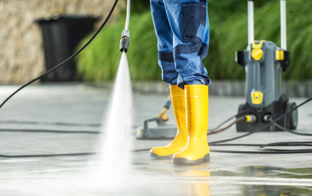 Best Roof Pressure Washing  in Howard City, MI
