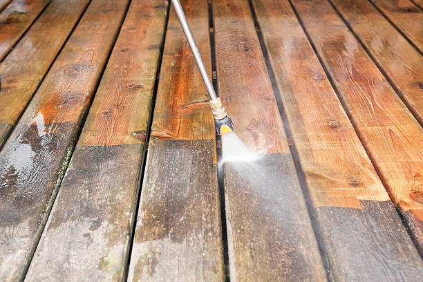 Best Power Washing Near Me  in Howard City, MI