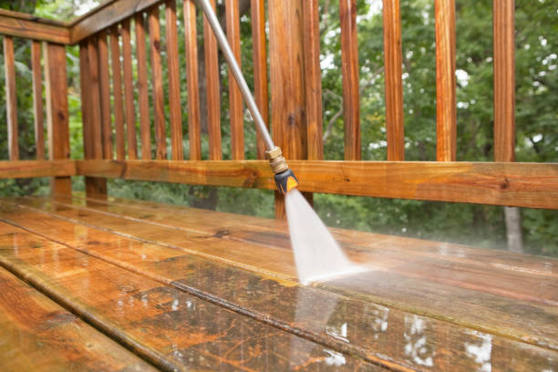 Best Sidewalk Pressure Washing  in Howard City, MI