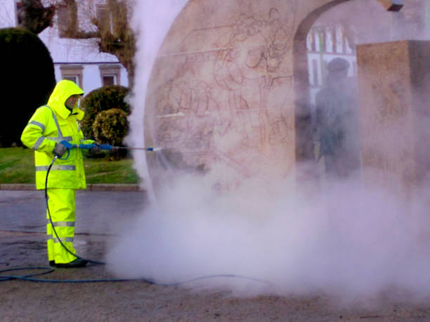 Best Pressure Washing Services Near Me  in Howard City, MI